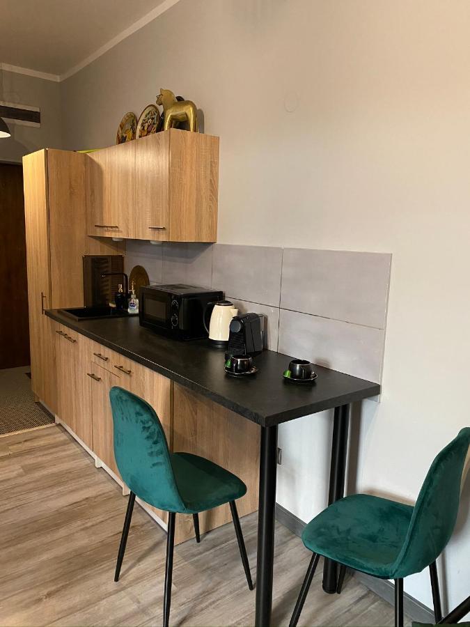 קטוביץ Apartament Czarne Zloto מראה חיצוני תמונה