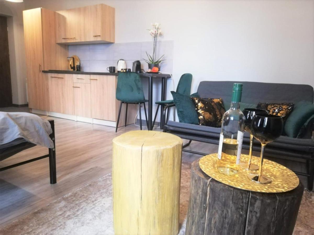 קטוביץ Apartament Czarne Zloto מראה חיצוני תמונה